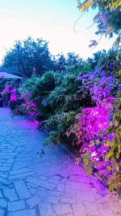 Residenza Bertolini Lägenhet Fosdinovo Exteriör bild