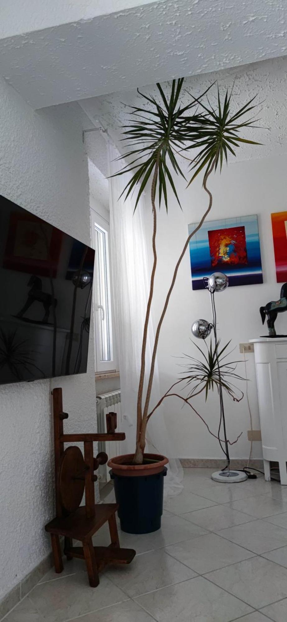 Residenza Bertolini Lägenhet Fosdinovo Exteriör bild